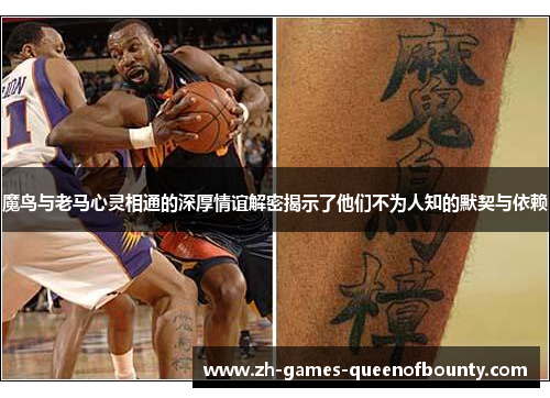 魔鸟与老马心灵相通的深厚情谊解密揭示了他们不为人知的默契与依赖